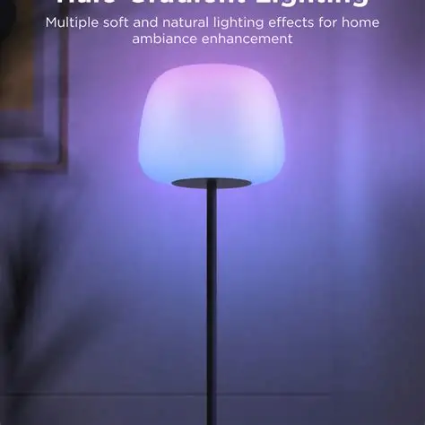 Govee lantern floor Lamps 2