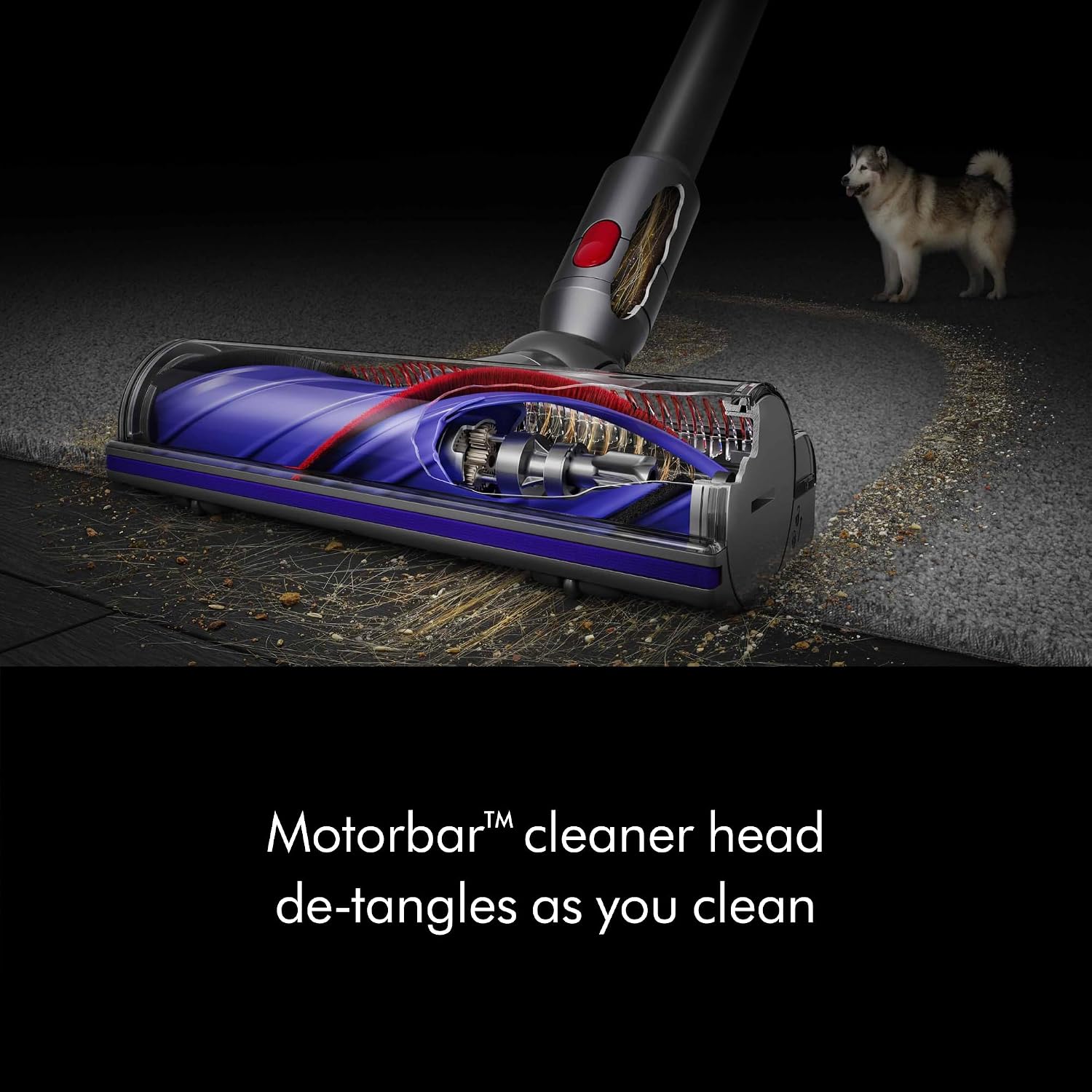 Dyson V8 Absolute Vacuum Cleaner 4