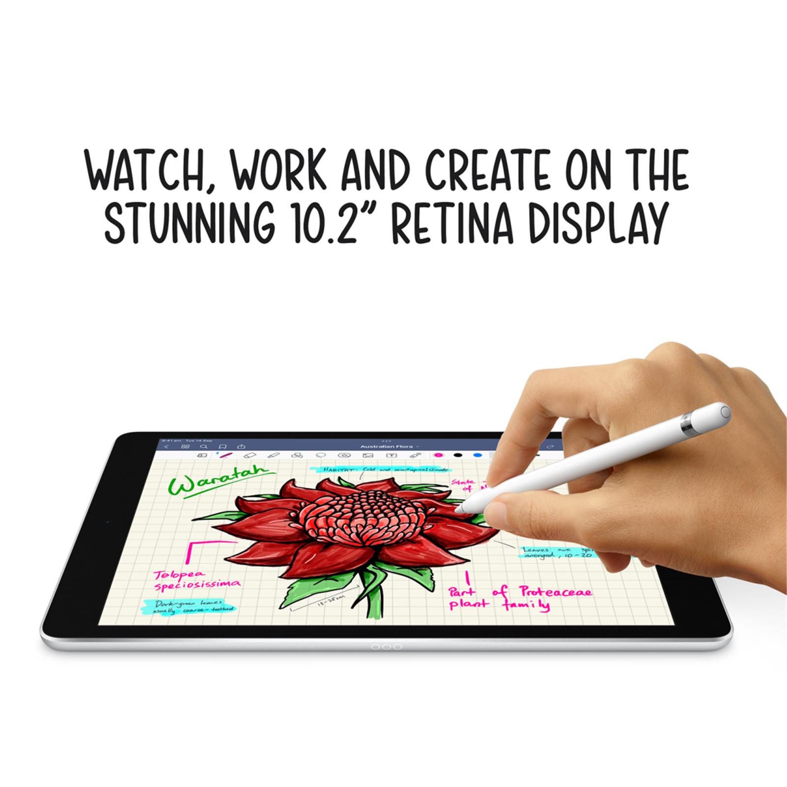 Apple Pencil  4